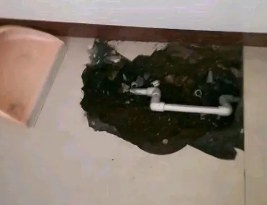 徐闻卫生间测漏水多少钱